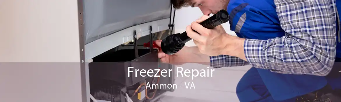 Freezer Repair Ammon - VA