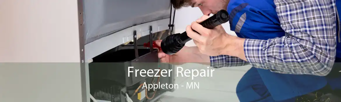 Freezer Repair Appleton - MN