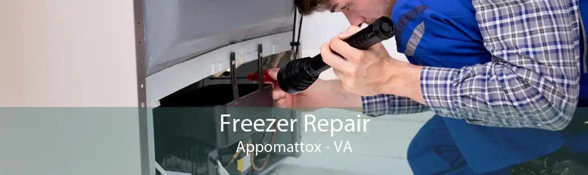 Freezer Repair Appomattox - VA