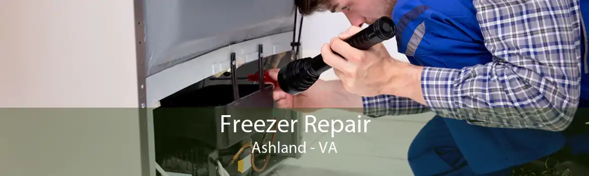 Freezer Repair Ashland - VA