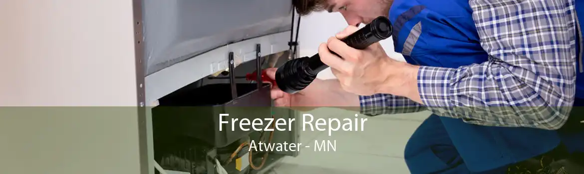 Freezer Repair Atwater - MN