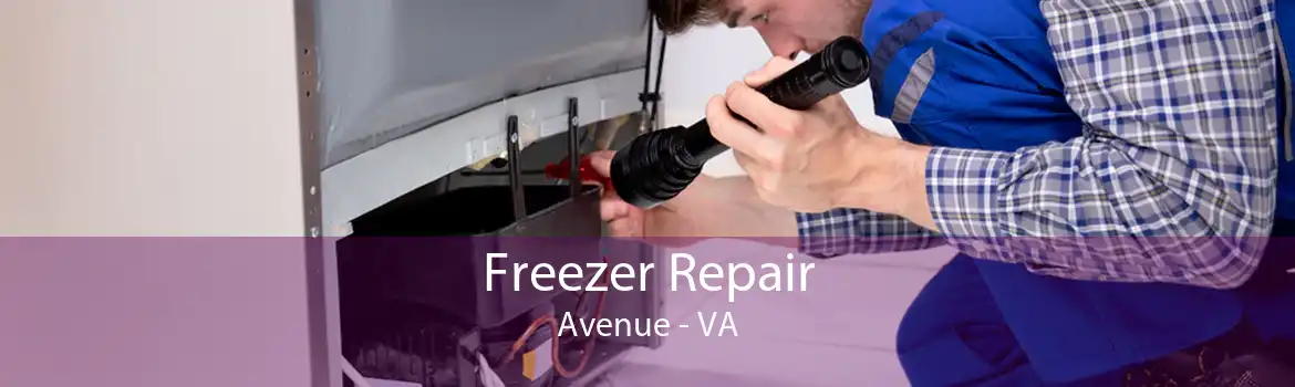 Freezer Repair Avenue - VA