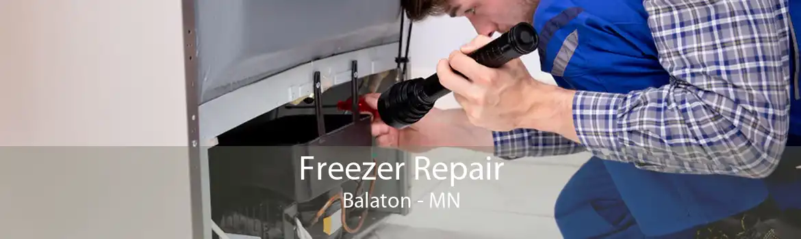 Freezer Repair Balaton - MN