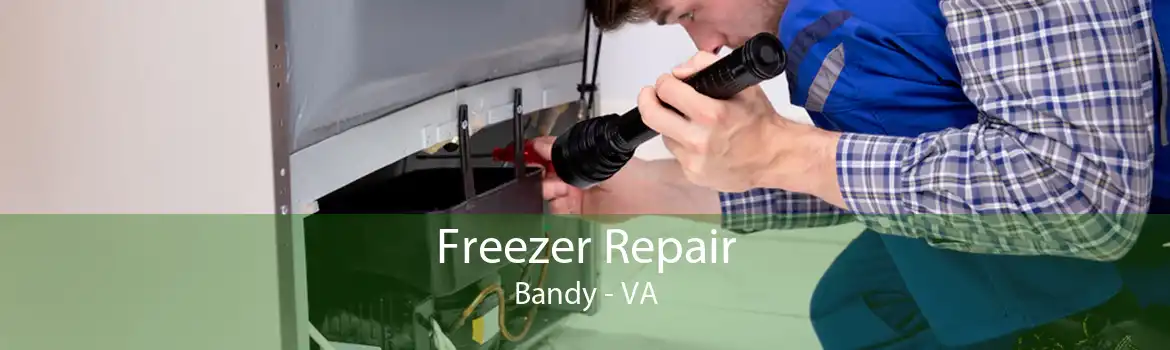 Freezer Repair Bandy - VA