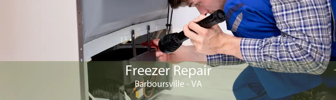 Freezer Repair Barboursville - VA