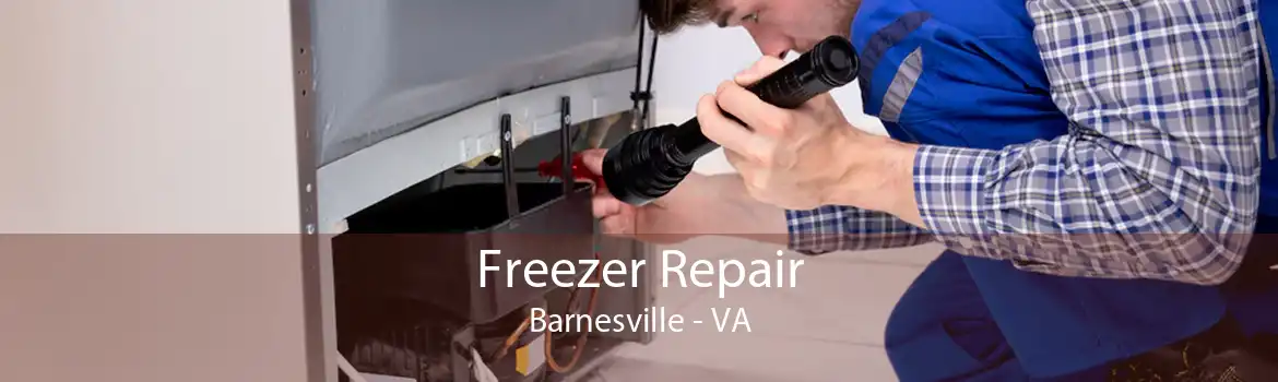 Freezer Repair Barnesville - VA