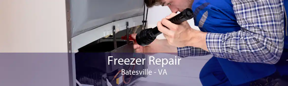Freezer Repair Batesville - VA