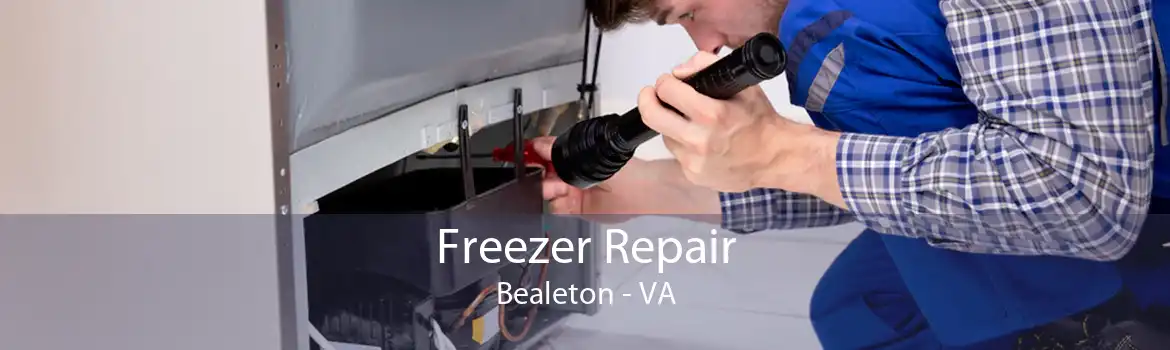 Freezer Repair Bealeton - VA