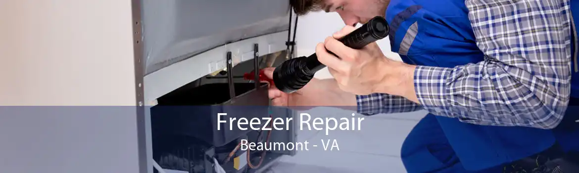 Freezer Repair Beaumont - VA