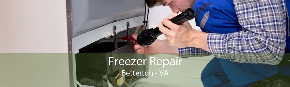 Freezer Repair Betterton - VA