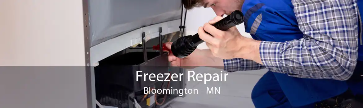 Freezer Repair Bloomington - MN