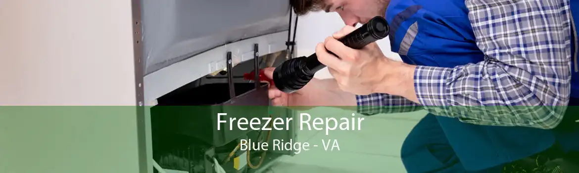 Freezer Repair Blue Ridge - VA