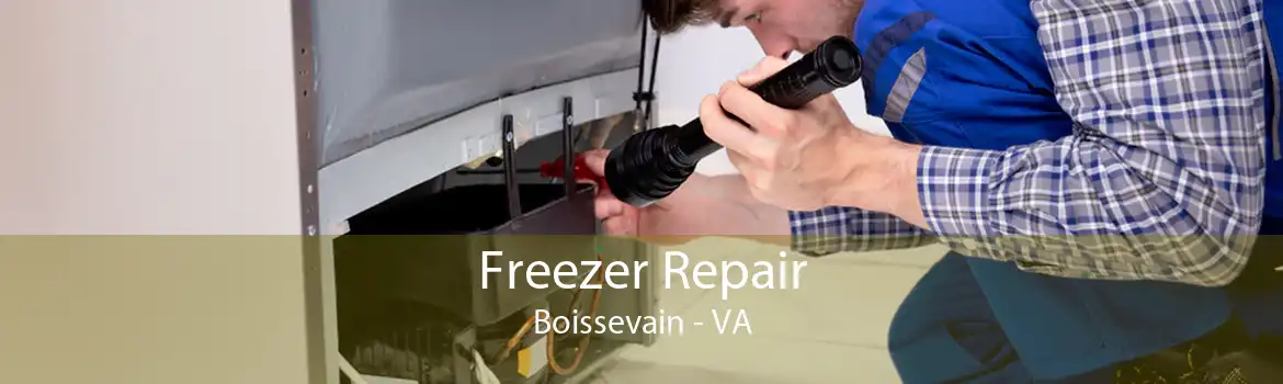 Freezer Repair Boissevain - VA