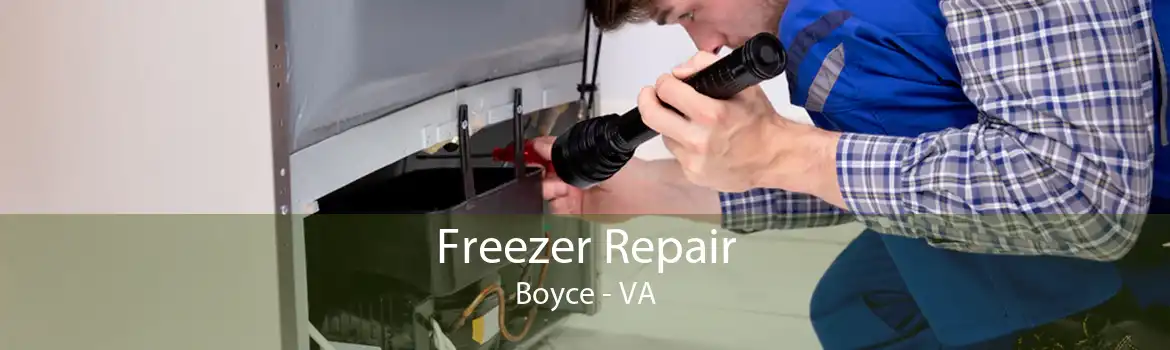 Freezer Repair Boyce - VA