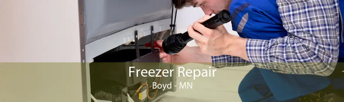 Freezer Repair Boyd - MN
