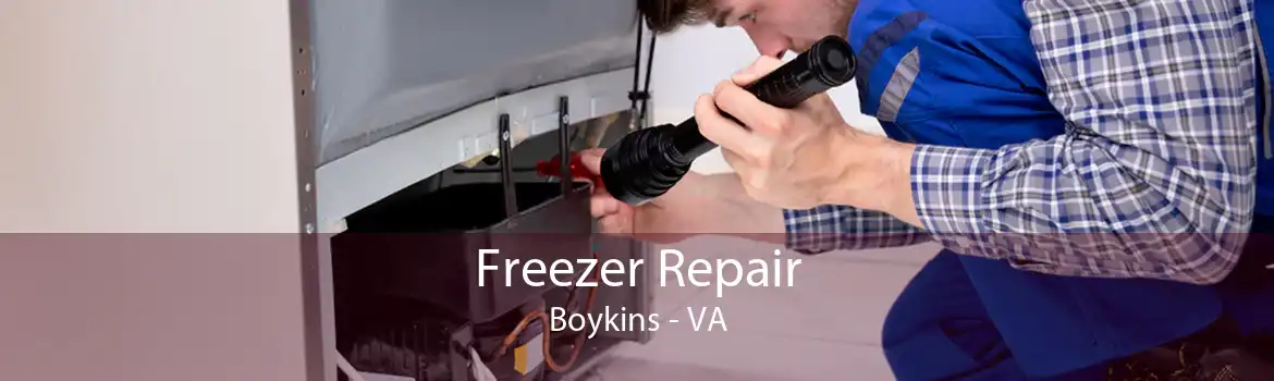 Freezer Repair Boykins - VA