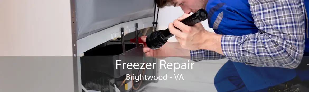 Freezer Repair Brightwood - VA
