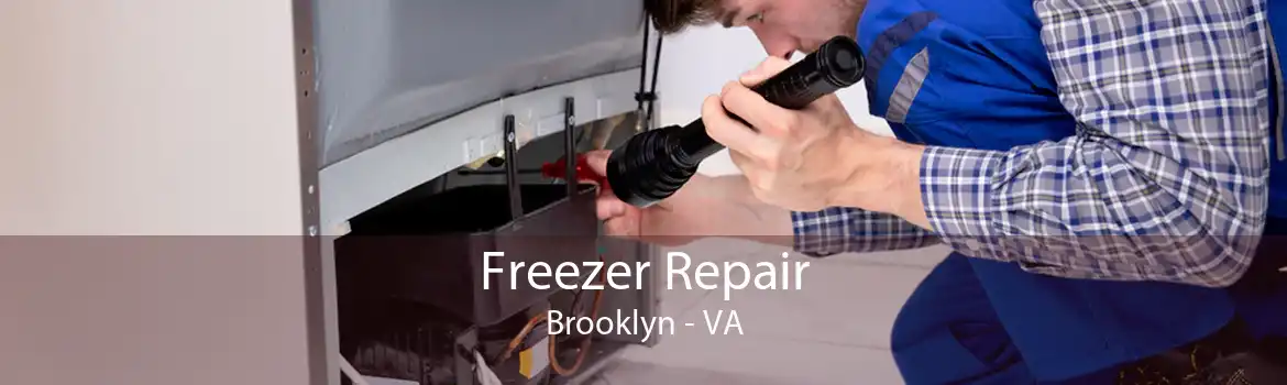 Freezer Repair Brooklyn - VA