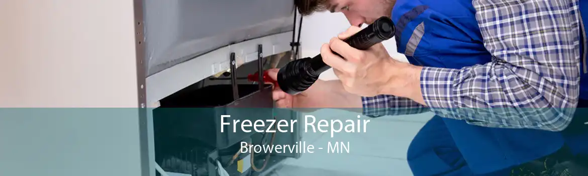 Freezer Repair Browerville - MN