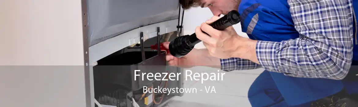 Freezer Repair Buckeystown - VA