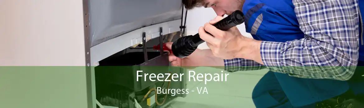 Freezer Repair Burgess - VA
