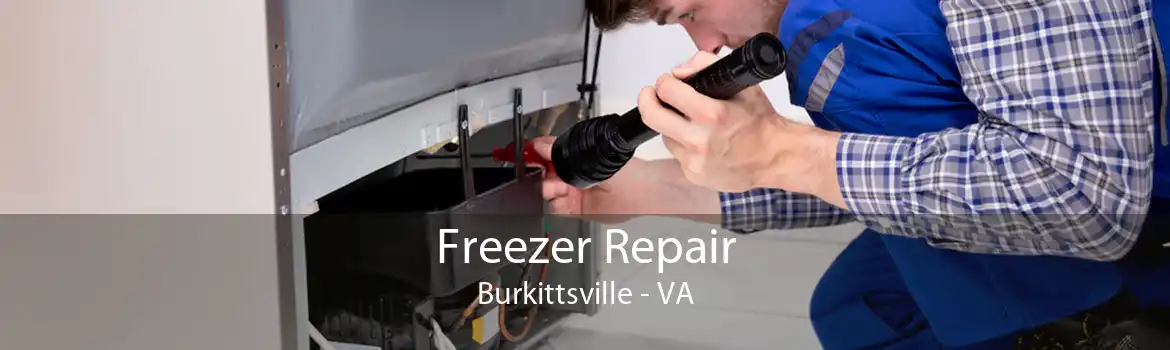 Freezer Repair Burkittsville - VA