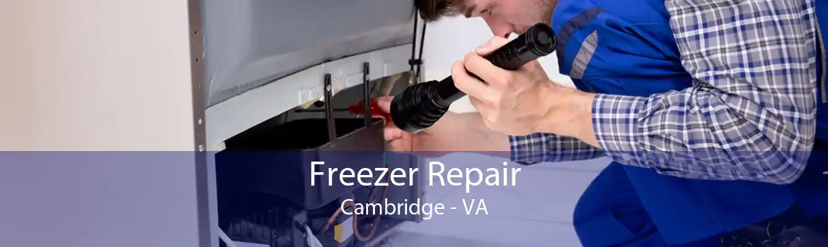 Freezer Repair Cambridge - VA