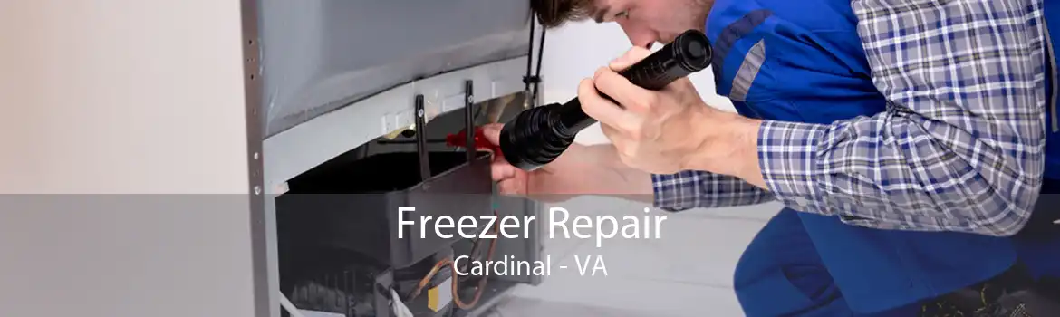 Freezer Repair Cardinal - VA