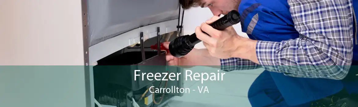 Freezer Repair Carrollton - VA