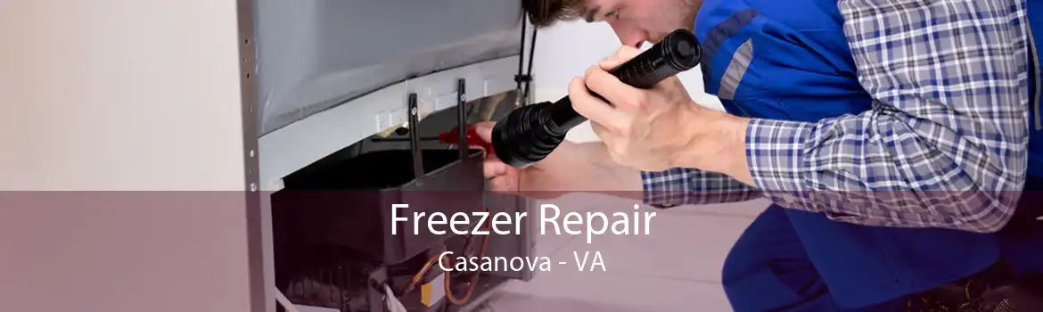 Freezer Repair Casanova - VA