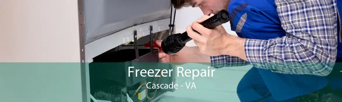 Freezer Repair Cascade - VA