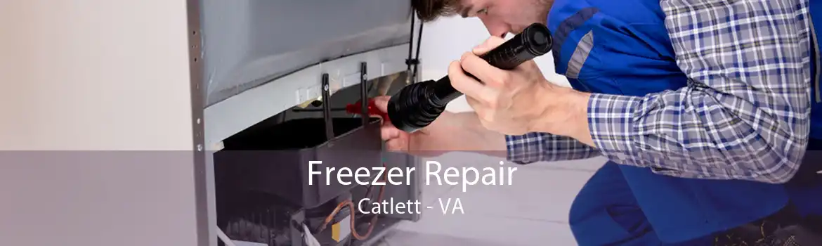 Freezer Repair Catlett - VA