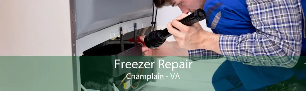 Freezer Repair Champlain - VA