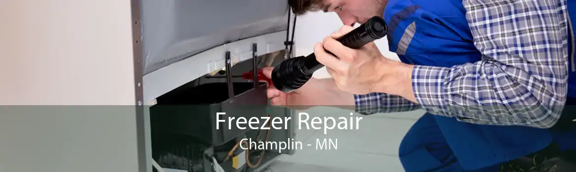 Freezer Repair Champlin - MN
