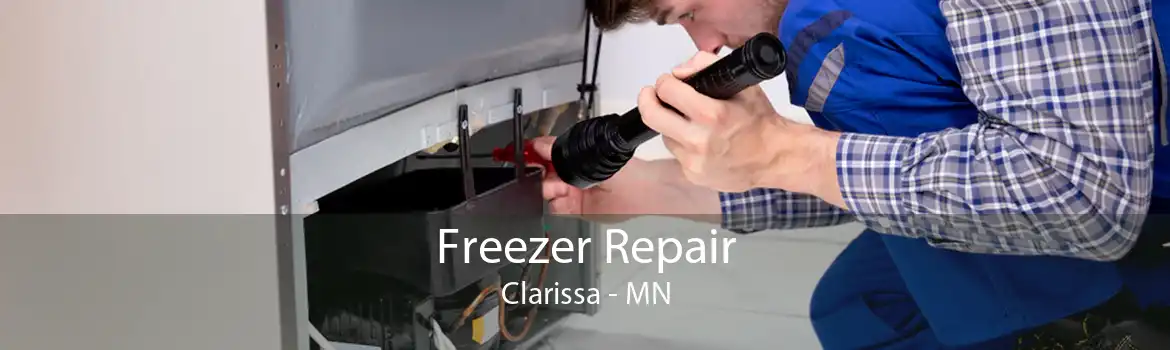 Freezer Repair Clarissa - MN