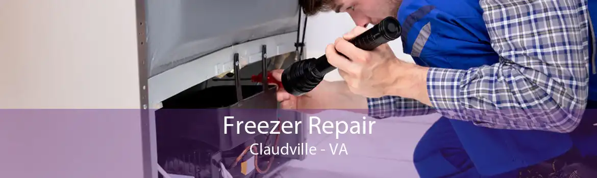 Freezer Repair Claudville - VA