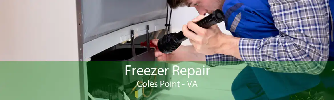 Freezer Repair Coles Point - VA