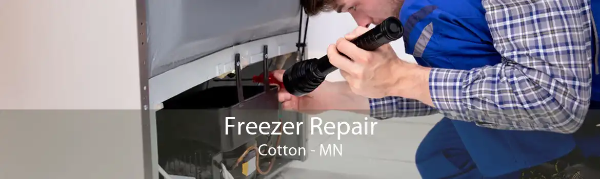 Freezer Repair Cotton - MN