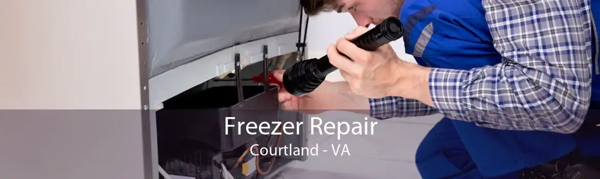 Freezer Repair Courtland - VA