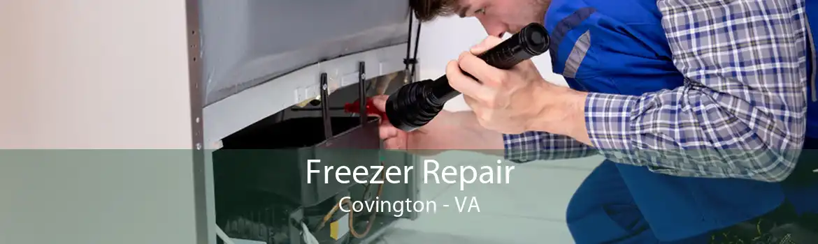 Freezer Repair Covington - VA