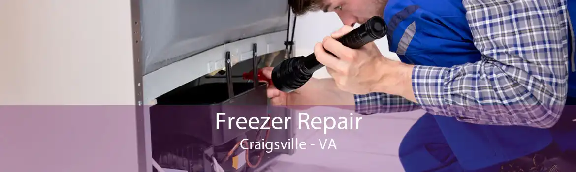 Freezer Repair Craigsville - VA