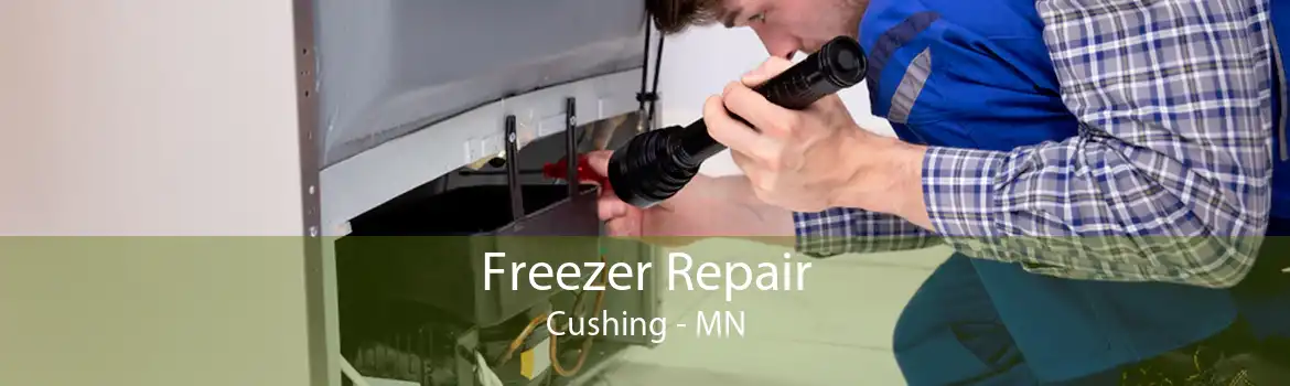 Freezer Repair Cushing - MN