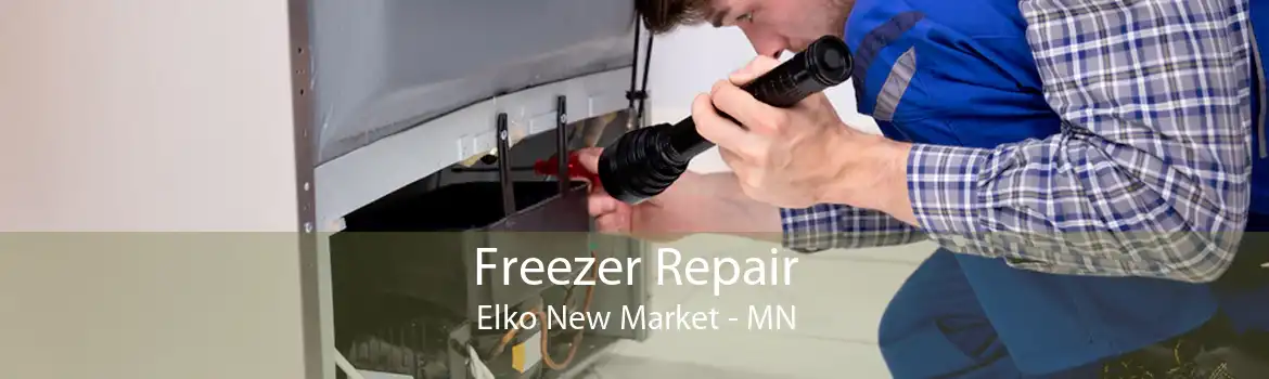 Freezer Repair Elko New Market - MN