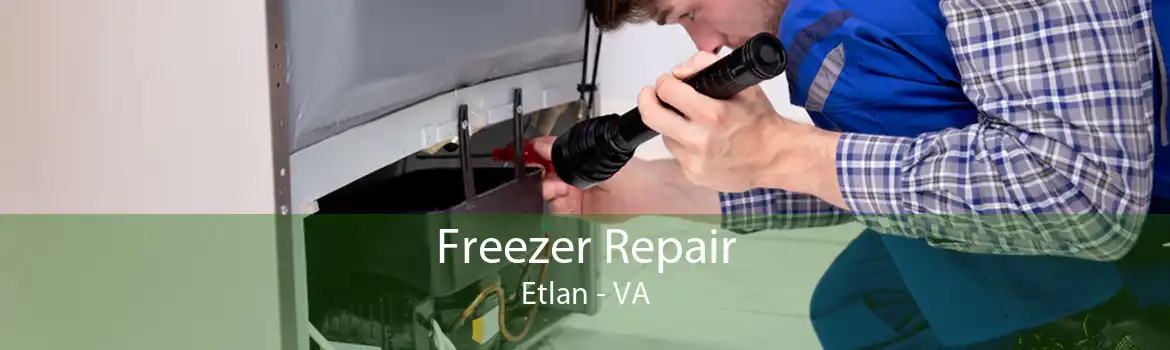 Freezer Repair Etlan - VA