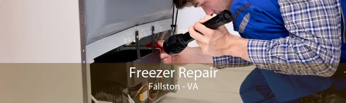 Freezer Repair Fallston - VA