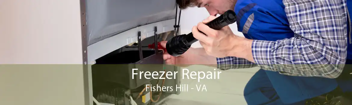 Freezer Repair Fishers Hill - VA