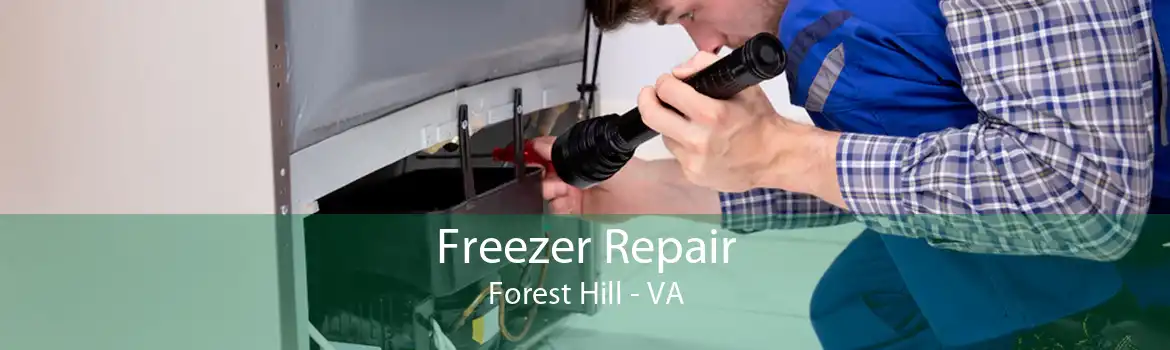 Freezer Repair Forest Hill - VA
