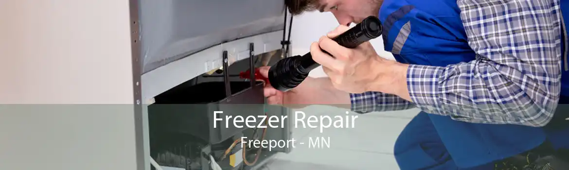 Freezer Repair Freeport - MN