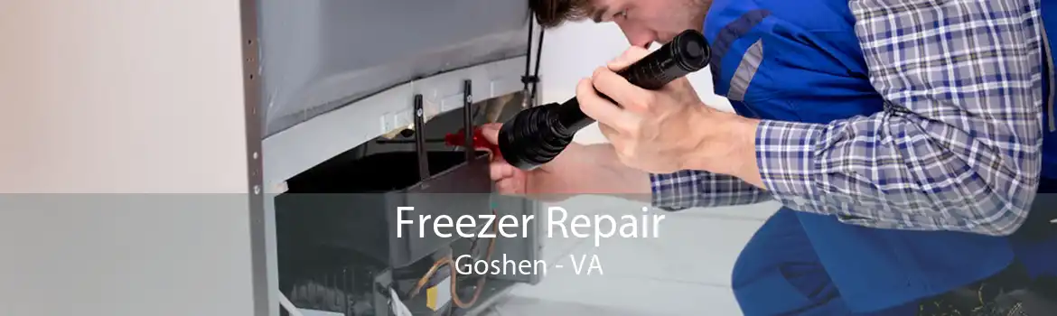 Freezer Repair Goshen - VA