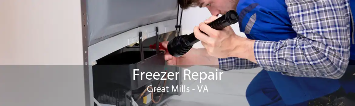 Freezer Repair Great Mills - VA